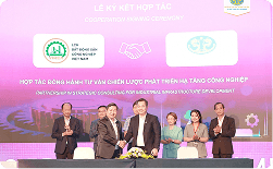 NOVA BÌNH THUẬN KÝ KẾT MOU VỚI LIÊN CHI HỘI BĐS CÔNG NGHIỆP VIỆT NAM TẠI DIỄN ĐÀN PHÁT TRIỂN KHU CÔNG NGHIỆP 2025